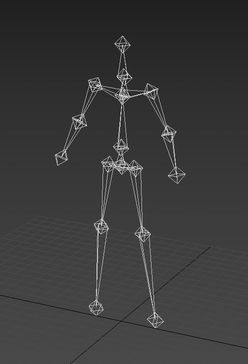 One of the skeleton templates